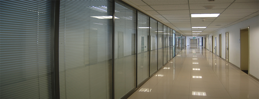 �Ϻ��S���h����ƺ